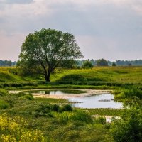 Субботний вечер :: Андрей Дворников