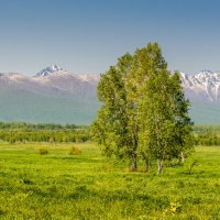 ... :: Евгений(Жора) Житников