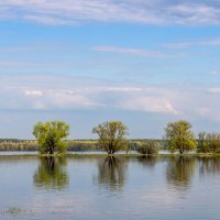 Разлив реки Днепр :: Игорь Сикорский