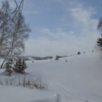 Зима,крестьянин,торжествует... :: Андрей Хлопонин