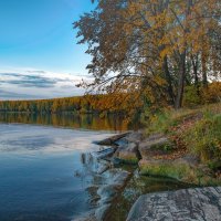 Художник-осень :: Vladimbormotov 