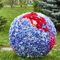 Глобус из цветов :: Алексей Р.