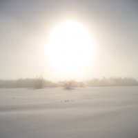 Солнце в тумане :: Anna Ivanova