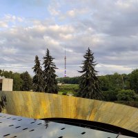 Вид на Останкинскую башню :: Юлия 