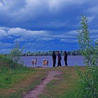 Июнь...На реке перед дождем!... :: Владимир 