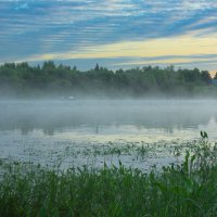 June morning near the Sukhona River | 3 :: Sergey Sonvar