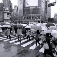Перекресток Сибуя Shibuya Crossing Токио Япония :: wea *