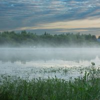 June morning near the Sukhona River | 7 :: Sergey Sonvar