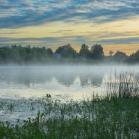 June morning near the Sukhona River | 10 :: Sergey Sonvar