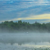 June morning near the Sukhona River | 11 :: Sergey Sonvar