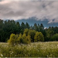 Пейзаж за городом. Июнь. :: Валентин Кузьмин