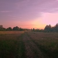 Вечер в поле :: Сергей Кочнев