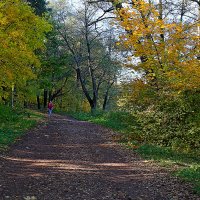 Кузьминский парк :: Игорь Белоногов