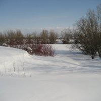 Много снега :: Anna Ivanova