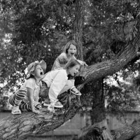 Представители диких кошачьих рычат на дереве. Игры детей) :: Светлана Былинович