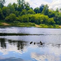 Летом на реке :: Галина Бобкина