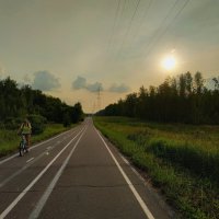 Лосиный остров глазами велосипедиста :: Андрей Лукьянов