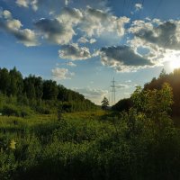 Лосиный остров глазами велосипедиста :: Андрей Лукьянов