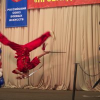 фестиваль союза боевых искусств 5 :: Константин Глухов