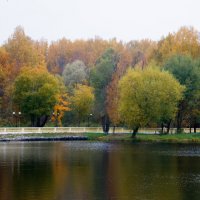 Осенний пейзаж. Парк, окрестности Питера :: Светлана Кулешова
