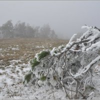 *6 :: Николай Кувшинов