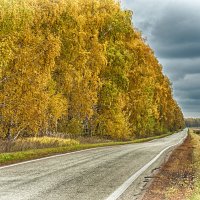 Дорога :: levonchik stepanyan