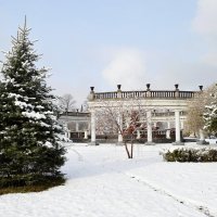 ...И парк, укрытый первым снегом... :: Михаил Петрик
