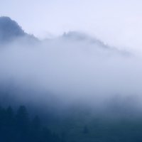 Туман в горах Абхазии :: Venera Shafigullina