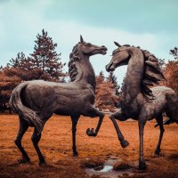Железные кони :: Владимир Манин