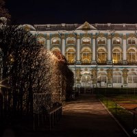 Екатерининский дворец :: Денис Смирнов