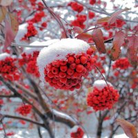 Городская модница в шляпке :: Нина северянка