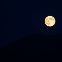 Восход Луны :: Кот Шредингера