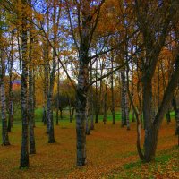 Осенний парк :: Екатерина Миронова
