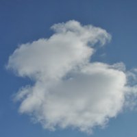 На что похоже облако?! :: Светлана 