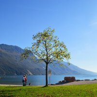 Осень на озере Гарда :: Светлана Богомолова 