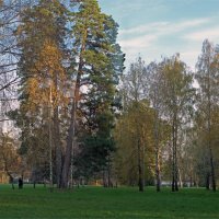 Still Evening in the Park :: Roman Ilnytskyi