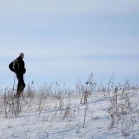 Один в заснеженной степи :: Юрий Морозов