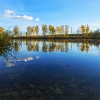 А я в воду войду :: Алексей Соминский