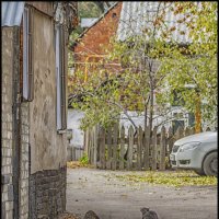 А мне? :: Александр Тарноградский