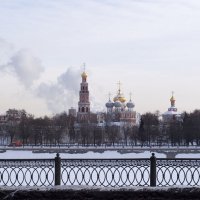 Ново-Девичий монастырь :: Лютый Дровосек