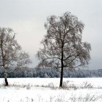 Зима :: Лютый Дровосек