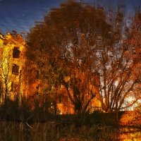 Осенний пожар :: Регина 