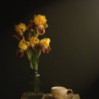 Желтые ирисы и чашка кофе :: Виталий Стасов