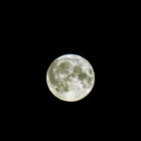 Осетровая Луна – 2023 :: Alex Sash