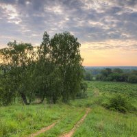 Раннее утро :: Константин 