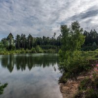 *** :: Владимир Безбородов