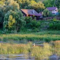 Рыбак в реке Тверца :: Георгий А