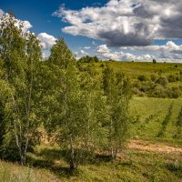 ОРша Беларусь :: Екатерина Счасная