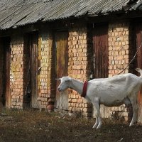 . :: Александр Хоменко