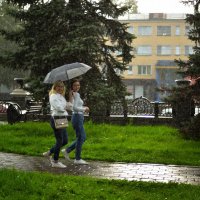 Прогулка под дождём :: Михаил Соколов